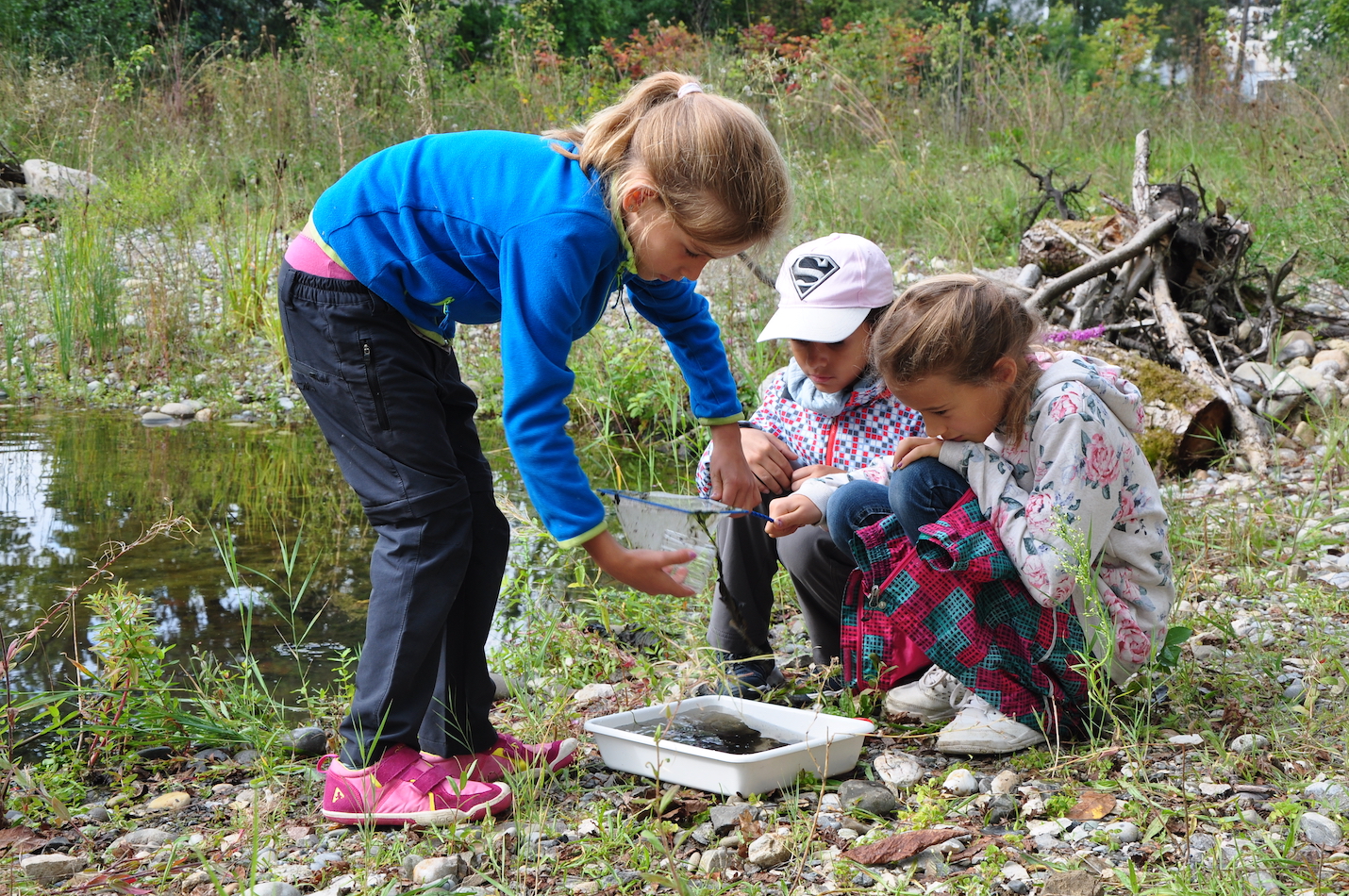 Kinder am Keschern
